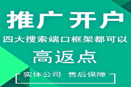 百度品牌专区推广的成效与案例